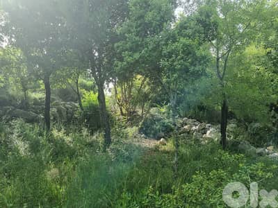 RWB126RH - Land for sale in Batroun أرض للبيع في البترون