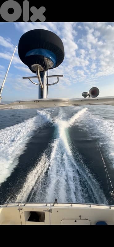 tripoli el mina 10