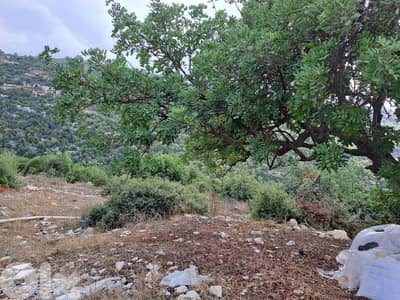 RWB115DL - Land for sale in Derbella - Chnata Batroun