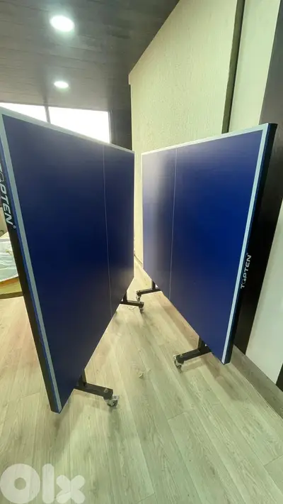 topten pingpong table