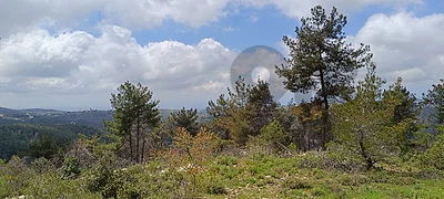25000 Sqm | Land for sale in Chouf / منطقة مزرعة