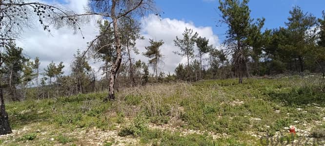 25000 Sqm | Land for sale in Chouf / منطقة مزرعة