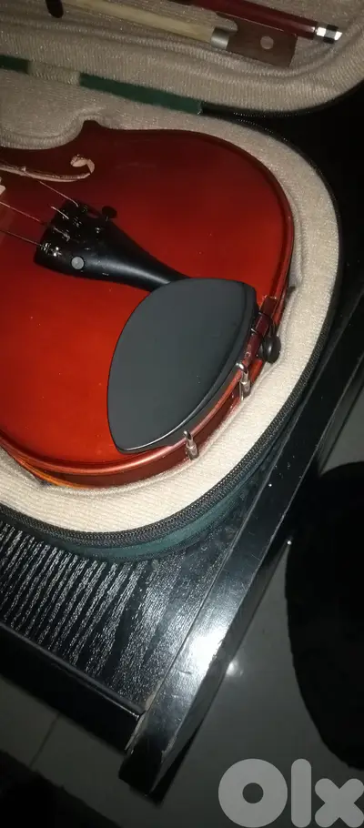 Violin