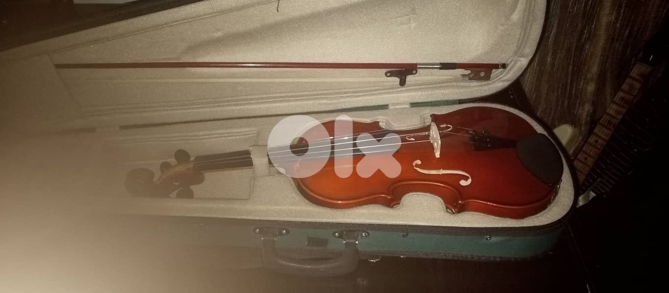 Violin 6