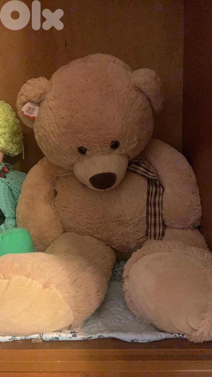 Big Teddy 0