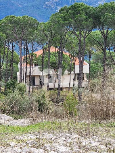 villa For sale in baabdet فيلا للبيع في بعبدات villa For sale in baabdet فيلا للبيع في بعبدات