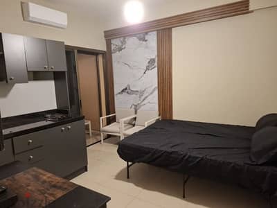 fully furnished studio for rent