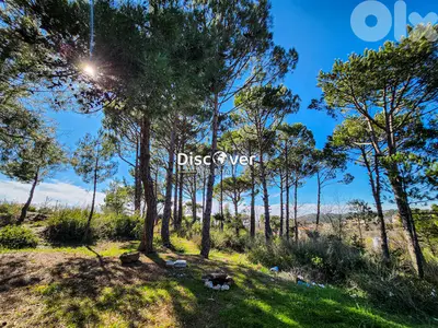 EASY SLOPE ! Land for sale in Dhour el choueir