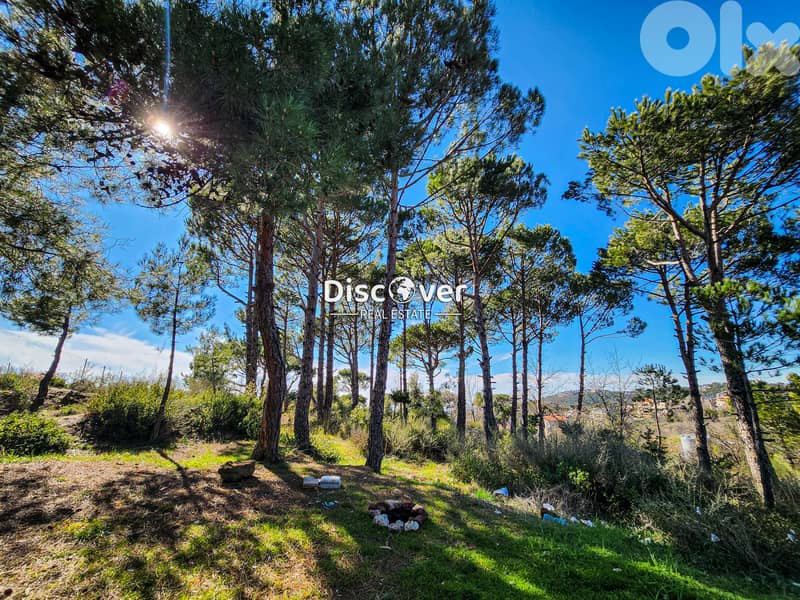 EASY SLOPE ! Land for sale in Dhour el choueir 0