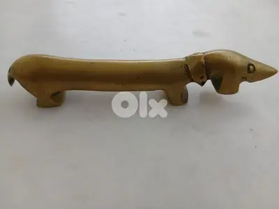 تحفة كلب مميزة
