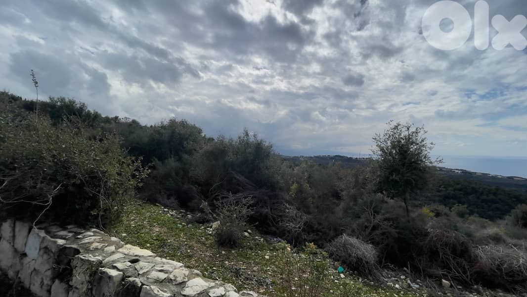 RWB215CA - Land for sale in Bekhaaz Jbeil 6