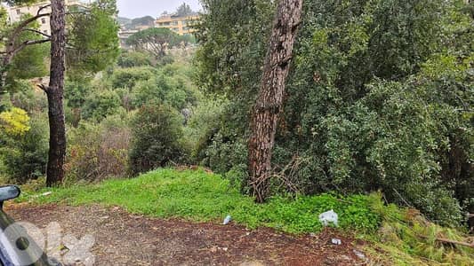 land for sale in mar chaaya أرض للبيع في مار شعيا