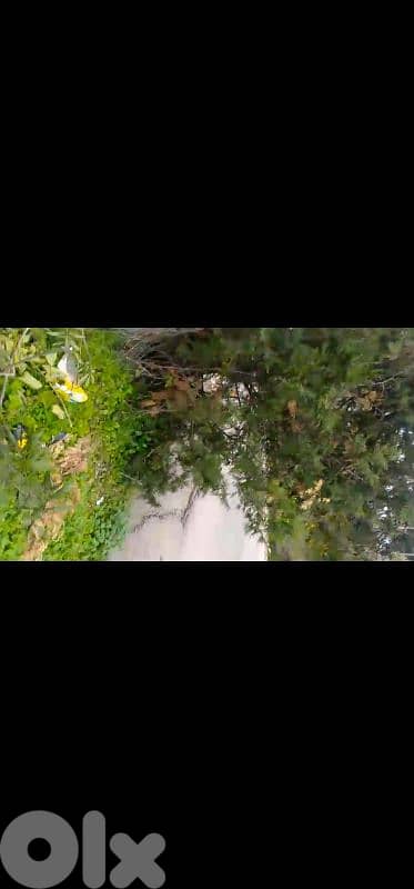 land for sale in baabdet أرض للبيع في بعبدات