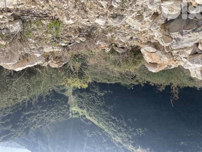 RWB221CA - Land for sale in Eddeh Jbeil