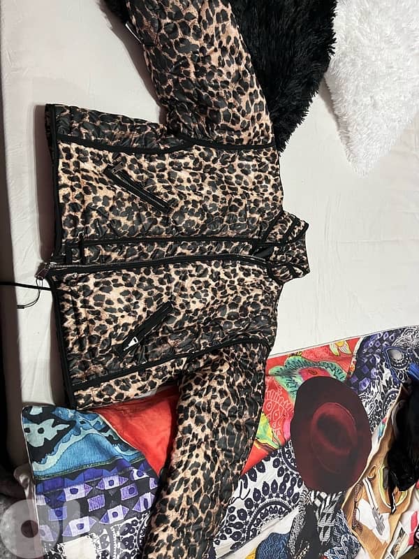 Leopard Jacket 0