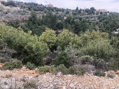 RWB112CC - Prime location land for sale in Metrit Koura
