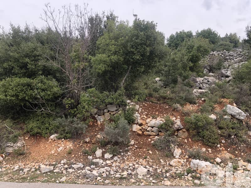 RWB112CC - Prime location land for sale in Metrit Koura 8