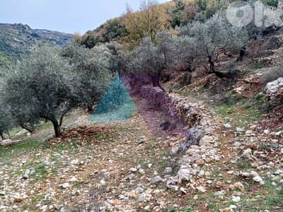 Land +Mountain View for sale in Assia-Batroun | أرض للبيع في البترون