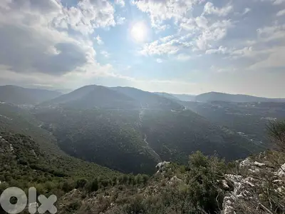 Land In Bejjeh For Sale | 999 SQM Land | أرض للبيع | PLS 26262