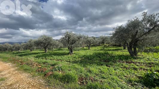 RWB100SN - Land for sale in Kousba el Koura