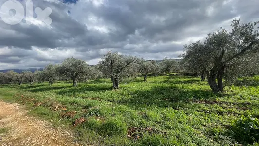 RWB100SN - Land for sale in Kousba el Koura