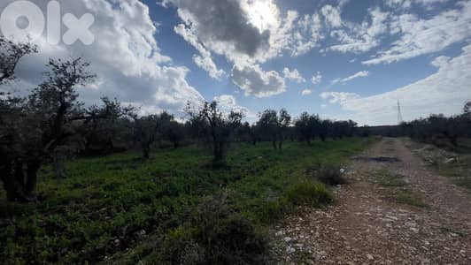 RWB100SN - Land for sale in Kousba el Koura