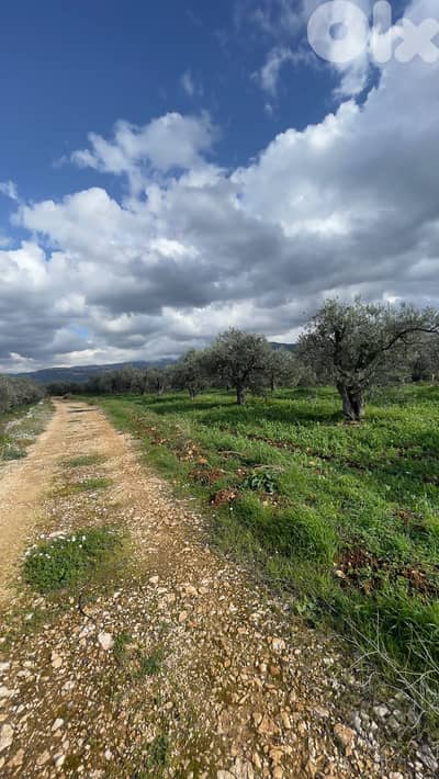 RWB100SN - Land for sale in Kousba el Koura