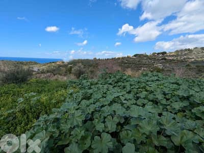 Land For Sale In Chikhane | Unblockable View | أرض للبيع | PLS 26264