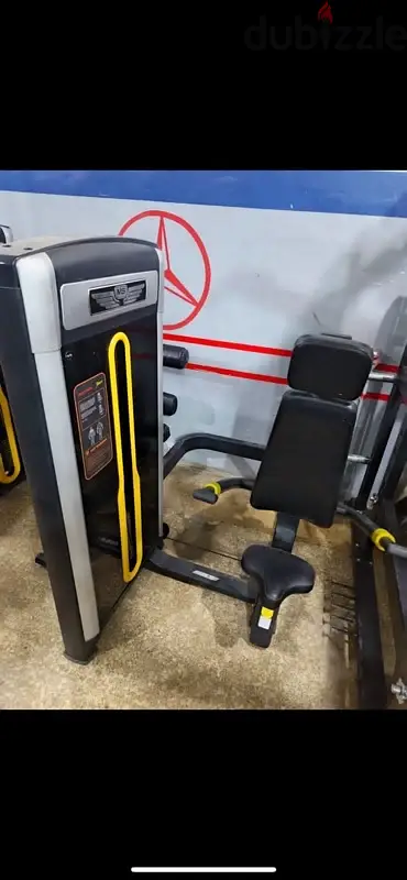 deeps and triceps machine like new