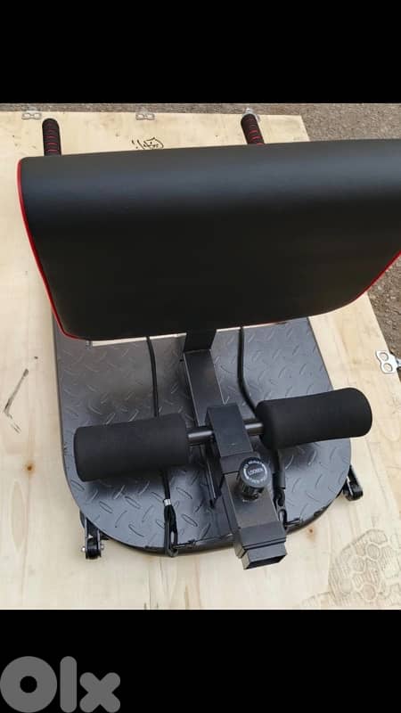 sissi squat new 1