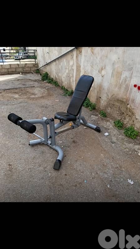 bench adjustable with leg extension  leg curl 1
