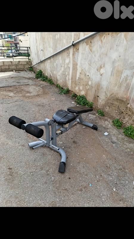 bench adjustable with leg extension  leg curl 2