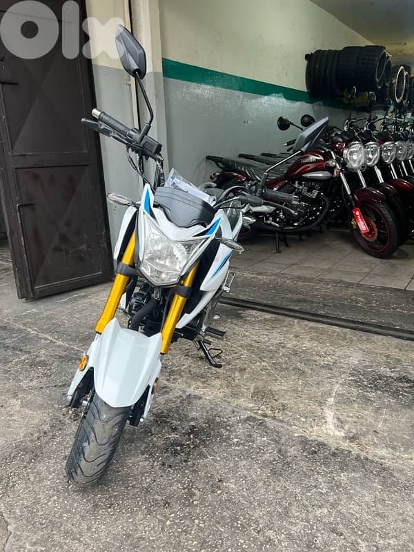 Dayang Soprt 150 3