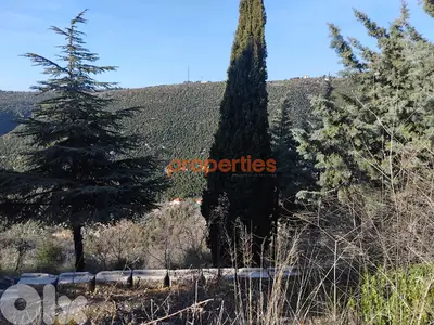 Land For Sale In Kharbeh jbeil CPJRK256