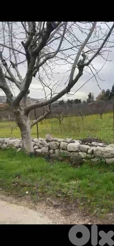land for sale in ain jdide bhamdoun أرض للبيع في عين الجديده بحمدون