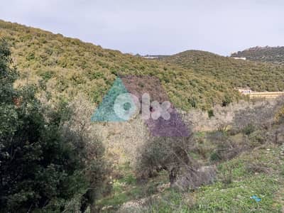 Land 4 Sale in Bejdarfel (6244 sqm) -Batroun |  أرض بجدارفل - البترون