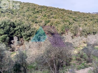 Land 4 Sale in Bejdarfel (6244 sqm) -Batroun |  أرض بجدارفل - البترون