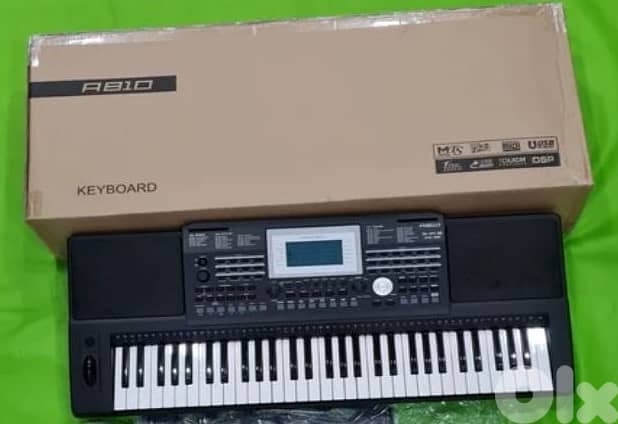 Medeli A810 arranger keyboard, 61 touch sensitive keys, 2 x 40 watt 4