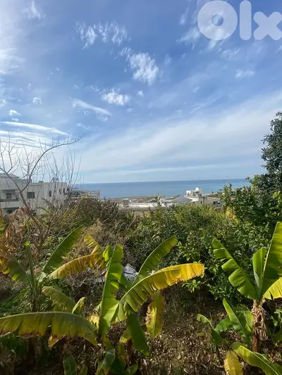 RWB104EG - Land for sale in Okaibeh