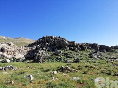 Land for sale in Laklouk - أرض للبيع في اللقلوق