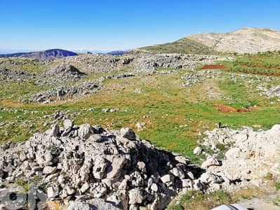 Land for sale in Laklouk - أرض للبيع في اللقلوق