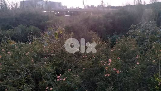 land for sale in antelias أرض للبيع في انطلياس