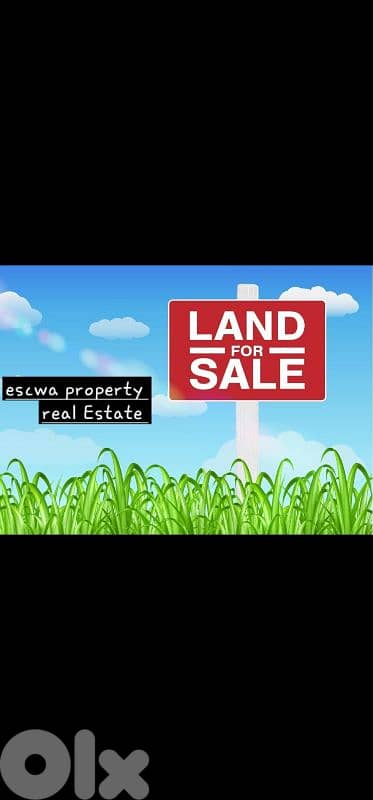 land for sale in berbara. ارض للبيع في البربارة