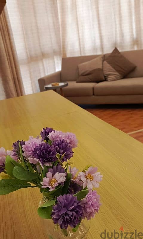 Samaya rent Chalet ( Starting 1st June till end october) 3