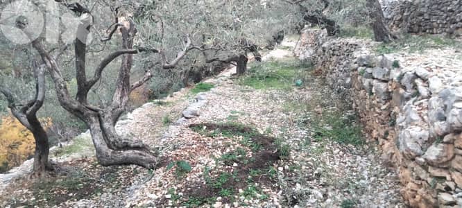 RWB132DL - Land for sale in Chabtine Batroun