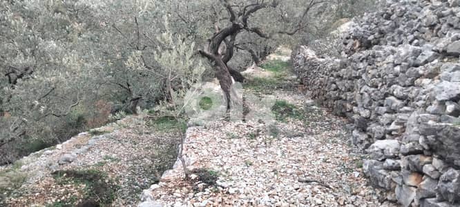 RWB132DL - Land for sale in Chabtine Batroun