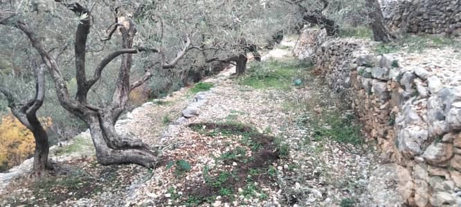 RWB132DL - Land for sale in Chabtine Batroun