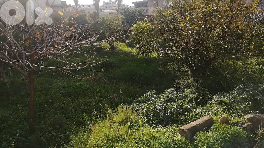 land 1032 sqm for sale in Jdeideh Ref#6514 0