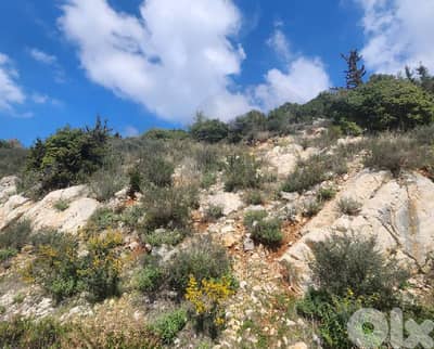 Surrounded by nature and fresh air in kfour/الكفور REF#YE118939