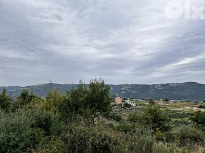 Land for Sale in Batroun  أرض للبيع في البترون - صغار